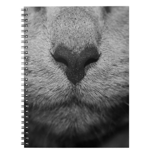 CAT NOSE IN BLACK AND WHITE NOTEBOOK (Front)