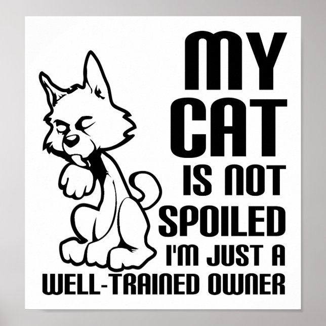 Cat Not Spoiled Funny Poster (Front)