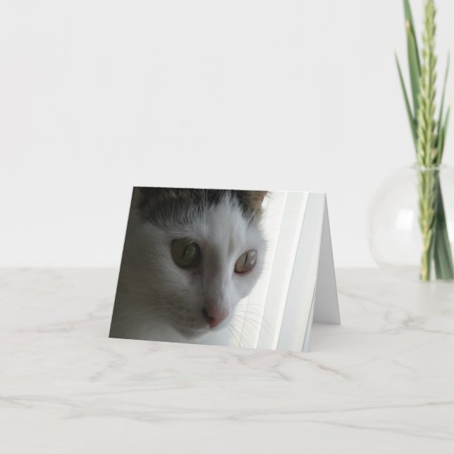 Cat note card (Front)