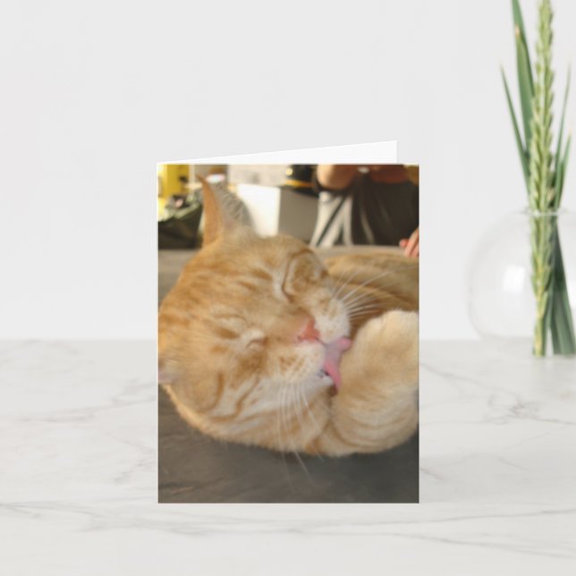 CAT NOTE CARD-BLANK CARD (Front)