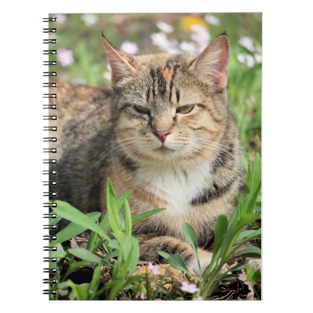 Cat Notebook (Front)