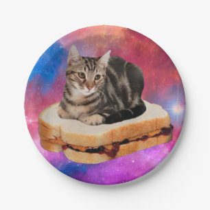 Cat on a bread flying in space paper plate