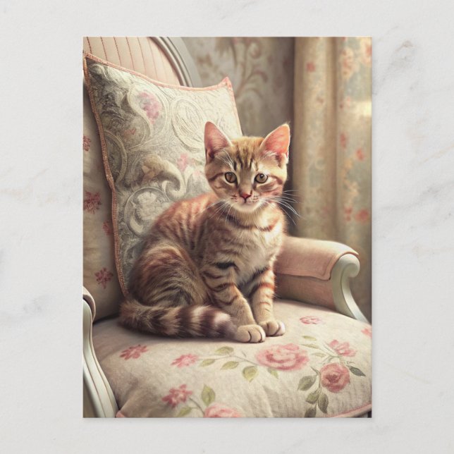 Cat on a chair (Shabby Chic) Postcard (Front)