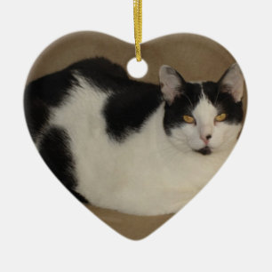 Cat On A Couch Ceramic Tree Decoration