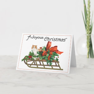 Cat on a Decorated Sled Christmas Card