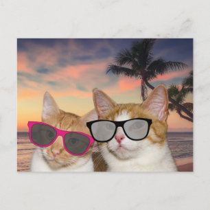 CAT ON BEACH 'CAT COUPLE' VACATION Postcards