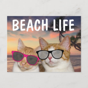 CAT ON BEACH 'CATS BEACH LIFE Postcards