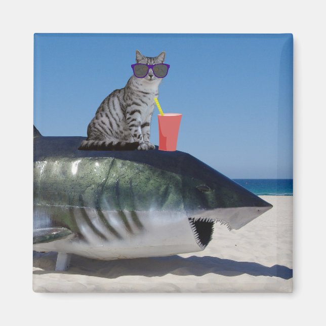 CAT ON BEACH SHARK MAGNET (Front)