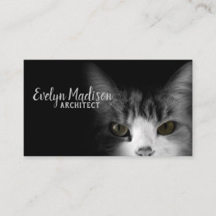 Cat On Black Background Business Card