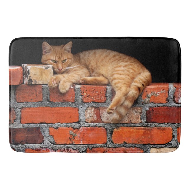 Cat on Brick Wall Bath Mat (Front)