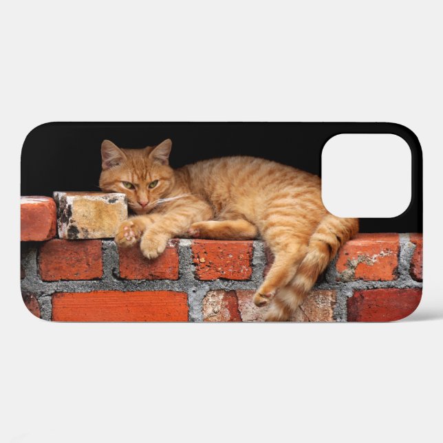 Cat on Brick Wall Case-Mate iPhone Case (Back (Horizontal))
