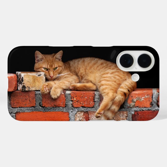 Cat on Brick Wall Case-Mate iPhone Case (Back (Horizontal))