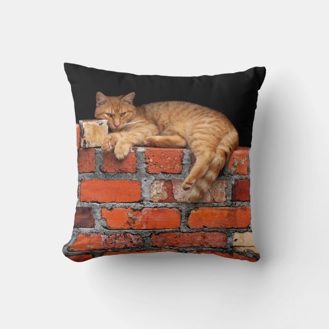 Cat on Brick Wall Cushion (Front)