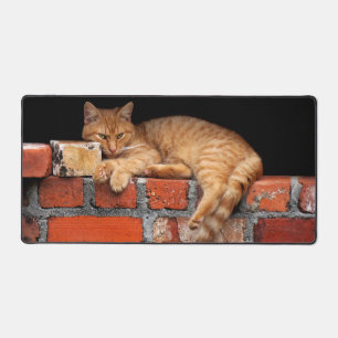 Cat on Brick Wall  Desk Mat