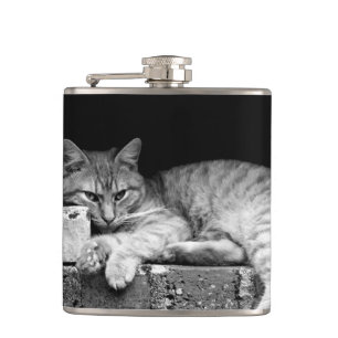 Cat on Brick Wall Hip Flask