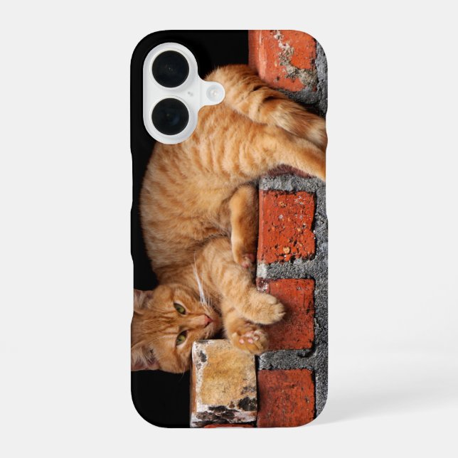 Cat on Brick Wall iPhone 16 Case (Back)