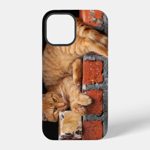 Cat on Brick Wall iPhone 12 Case