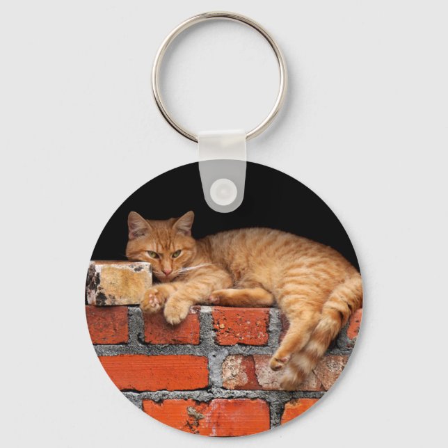 Cat on Brick Wall Key Ring (Front)