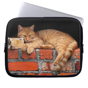 Cat on Brick Wall Laptop Sleeve