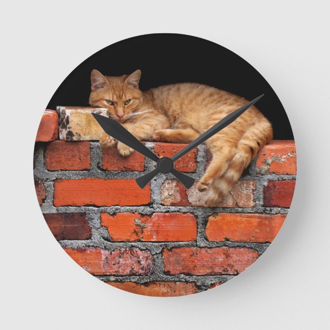 Cat on Brick Wall Round Clock (Front)