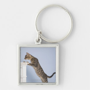 Cat on Chair, Dusseldorf, North Key Ring