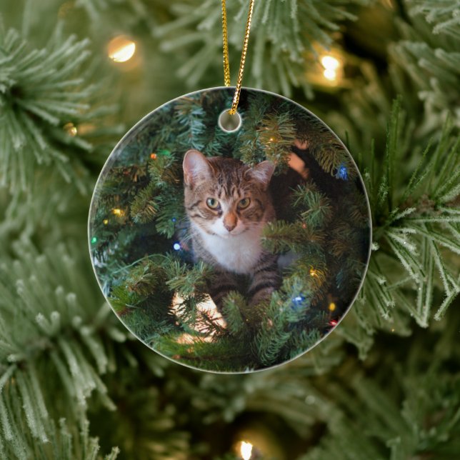 Cat on Christmas tree Ceramic Tree Decoration (Tree)
