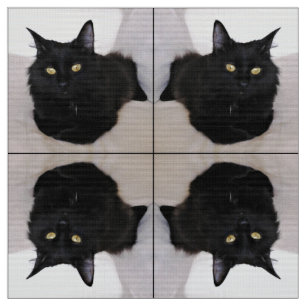 Cat on Couch Fabric