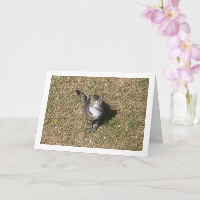 Cat on Grass Portrait Card (Orchid)