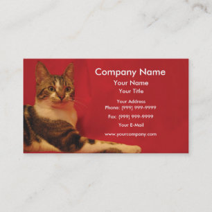 Cat on red background business card