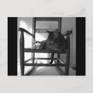 Cat on rocker postcard