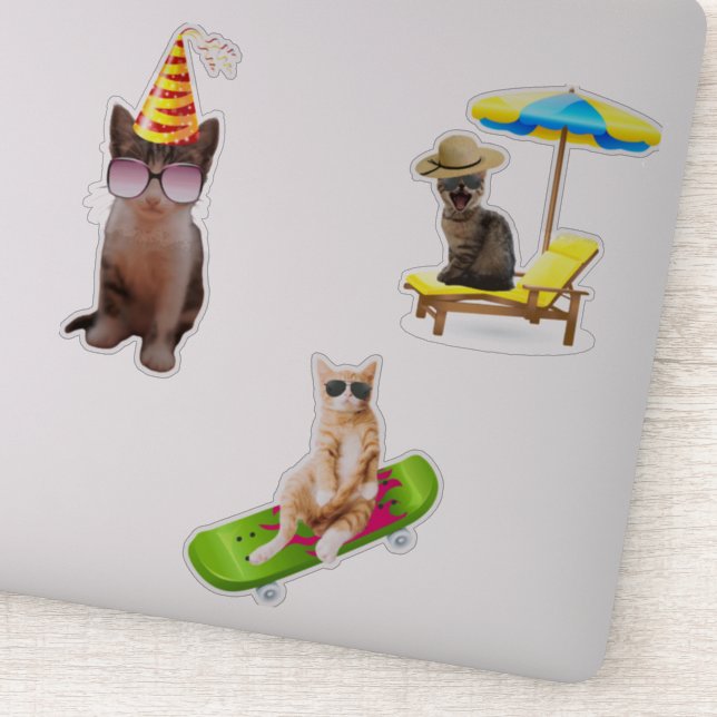 Cat On Skateboard (Detail)