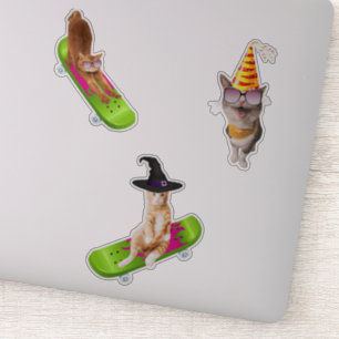Cat On Skateboard