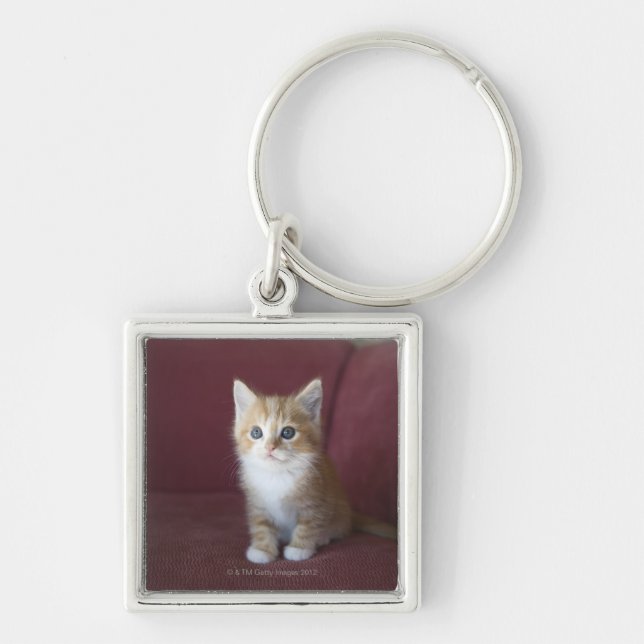 Cat on sofa key ring (Front)
