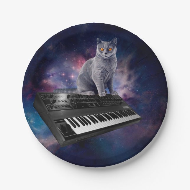 Cat on synthesizer in space paper plate (Front)