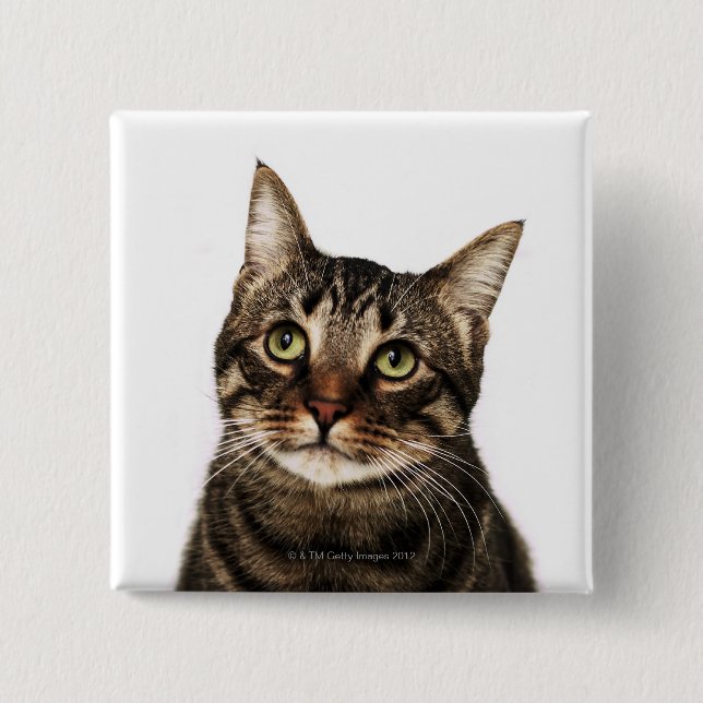 Cat on white background 2 15 cm square badge (Front)
