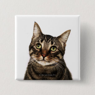 Cat on white background 2 15 cm square badge
