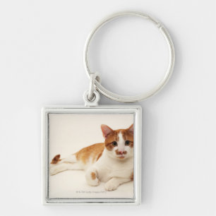 Cat on white background key ring
