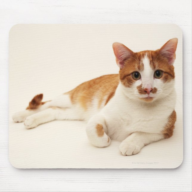 Cat on white background mouse pad (Front)