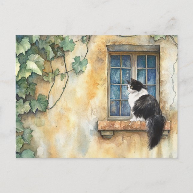 Cat on Windowsill - Postcard (Front)