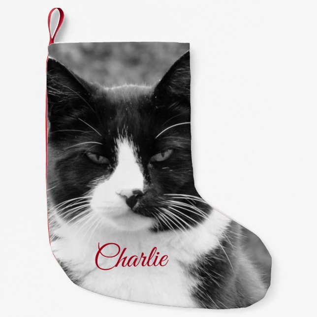 Cat or Dog Personalised Holidays Small Christmas Stocking (Front)