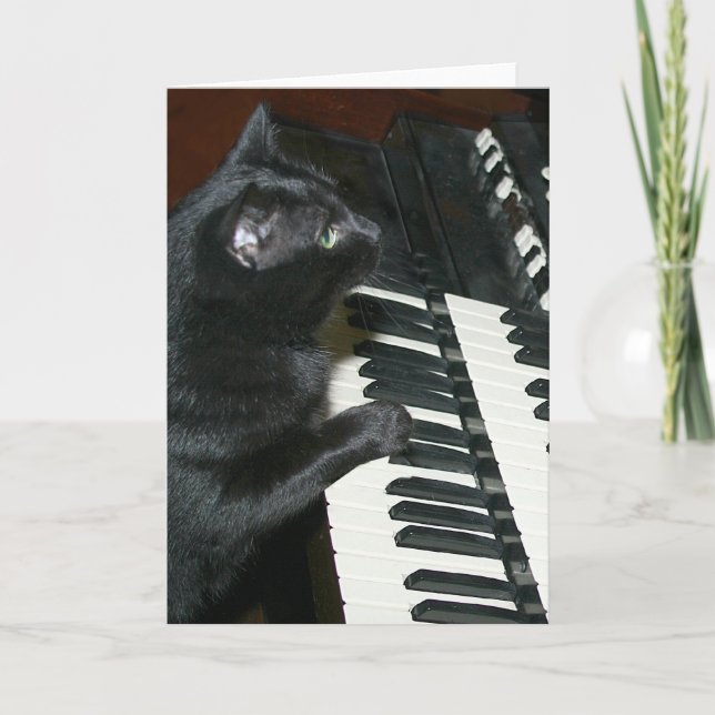 Cat organ recital card (Front)