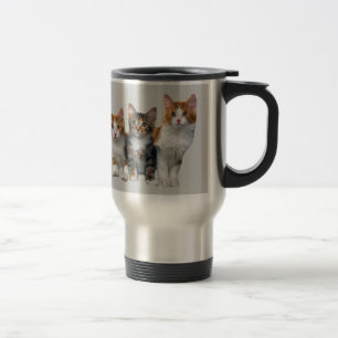 Cat Outside The Box Mug