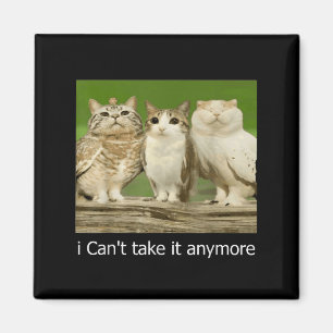 Cat Owl Funny Meow I Can't Take It Anymore Magnet