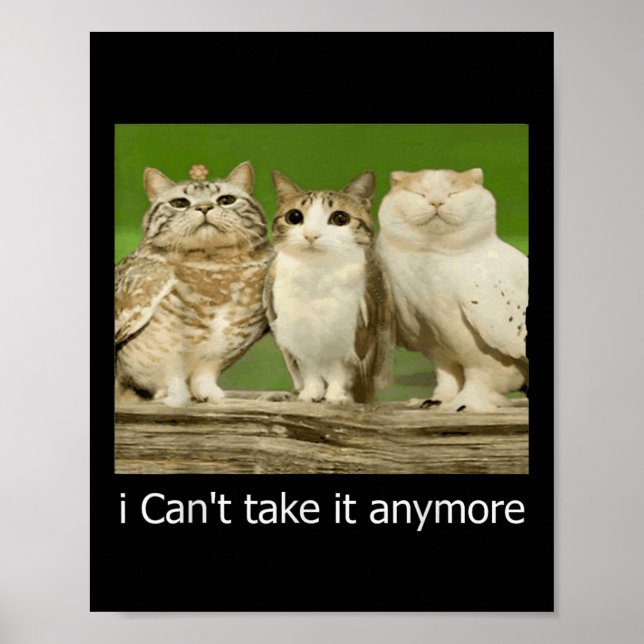 Cat Owl Funny Meow I Cant Take It Anymore  Poster (Front)
