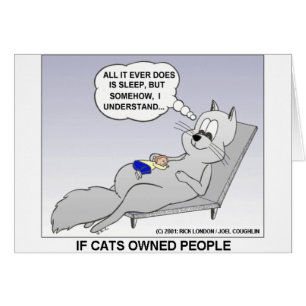 Cat Owner Funny Gifts Tees & Collectibles