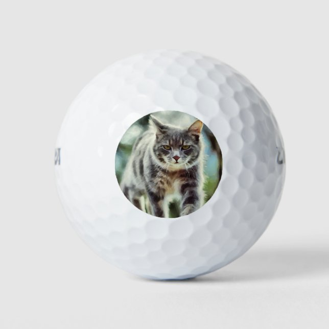 Cat painting golf balls (Front)
