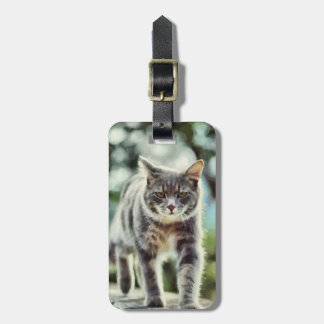 Cat painting luggage tag