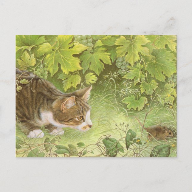 CAT PAINTING postcards  (Front)