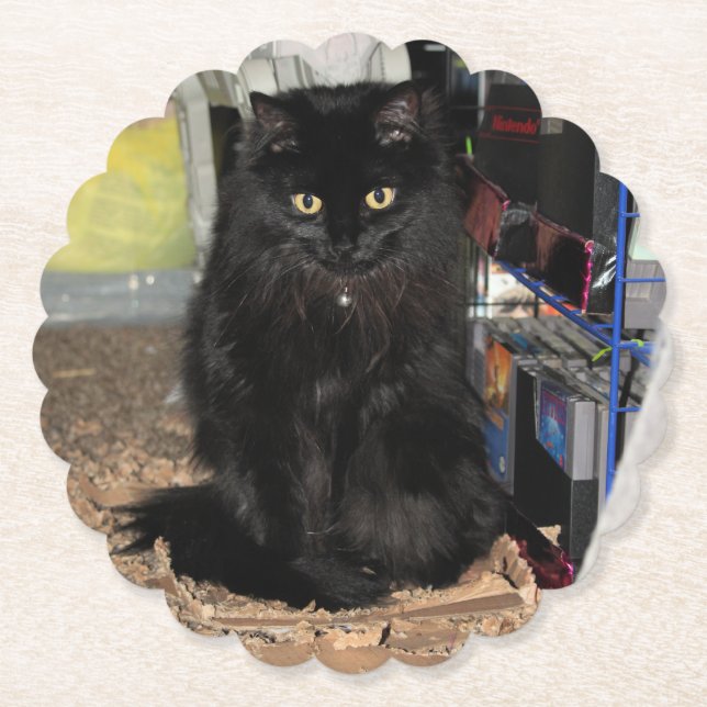 Cat     paper coaster (Front)
