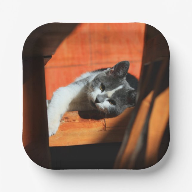 Cat Paper Plate (Front)